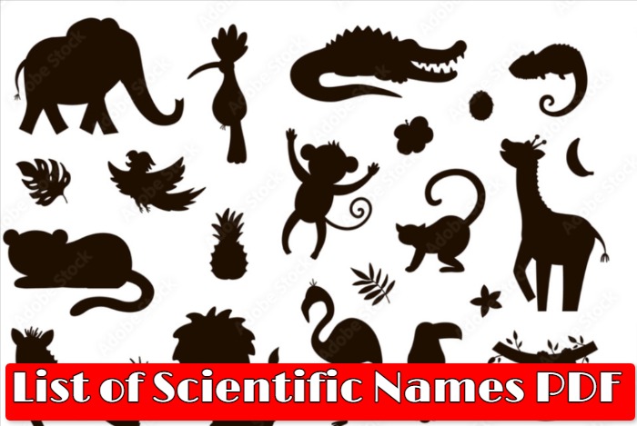 जंतुओं, वनस्पतियों, फलों, पुष्पों के वैज्ञानिक नाम की लिस्ट  | List of Scientific Names PDF